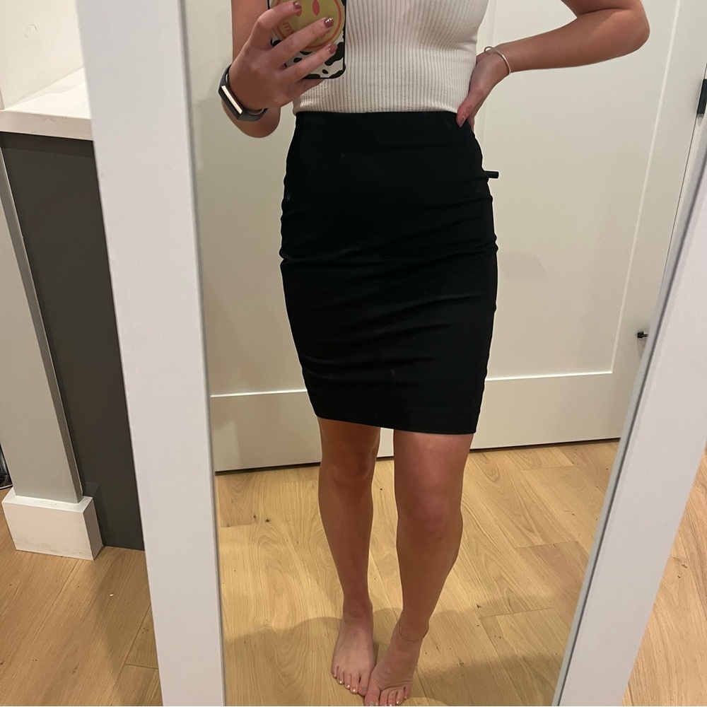 Express Pencil Skirt